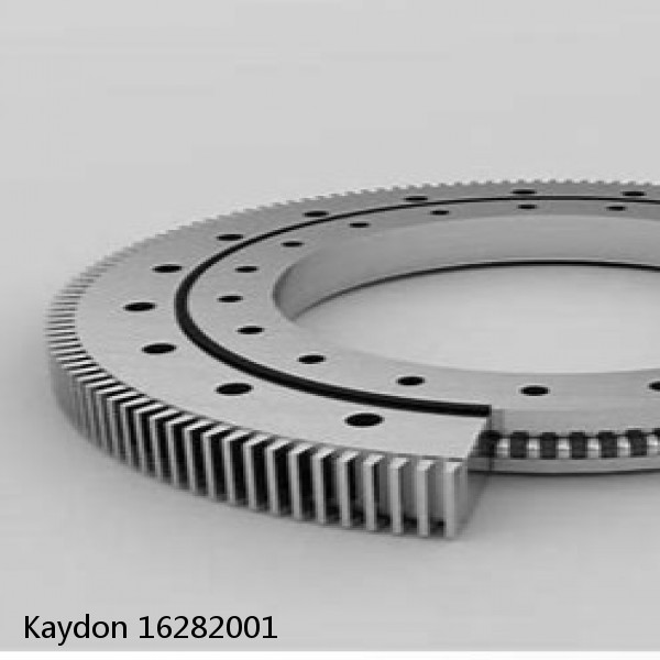 16282001 Kaydon Slewing Ring Bearings