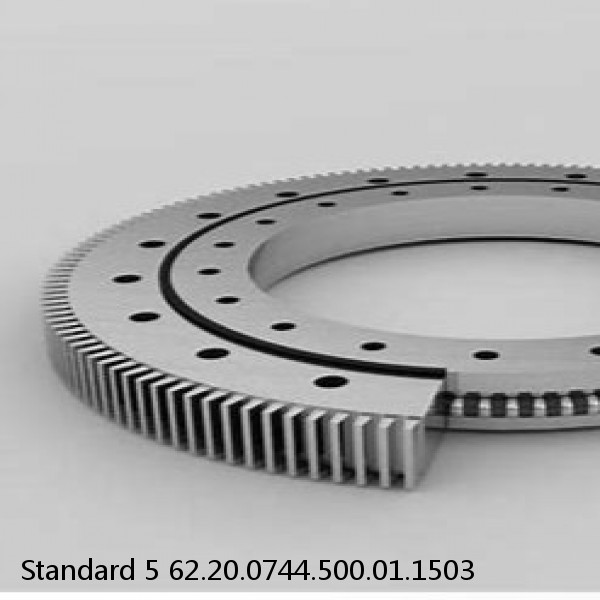 62.20.0744.500.01.1503 Standard 5 Slewing Ring Bearings