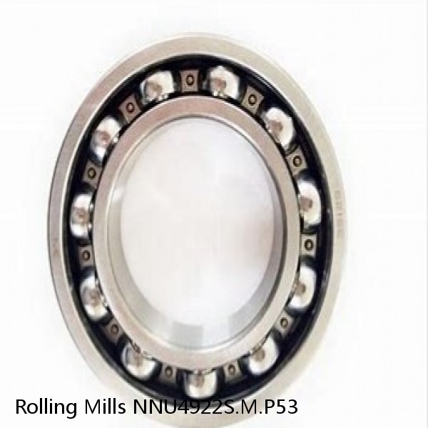 NNU4922S.M.P53 Rolling Mills Sealed spherical roller bearings continuous casting plants