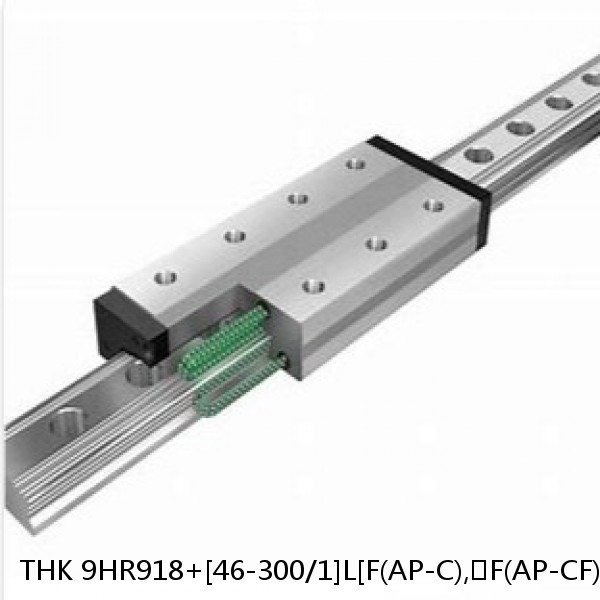 9HR918+[46-300/1]L[F(AP-C),​F(AP-CF),​F(AP-HC)] THK Separated Linear Guide Side Rails Set Model HR