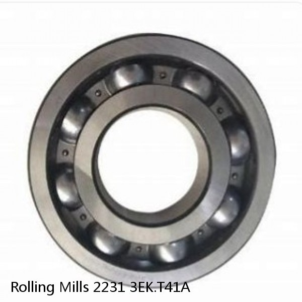 2231 3EK.T41A Rolling Mills Spherical roller bearings